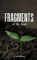 Fragments of My Soul