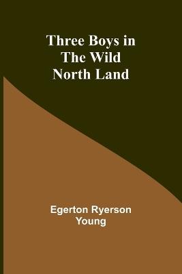 Three Boys in the Wild North Land - Egerton Ryerson Young - cover