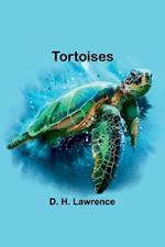 Tortoises