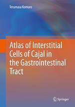 Atlas of Interstitial Cells of Cajal in the Gastrointestinal Tract