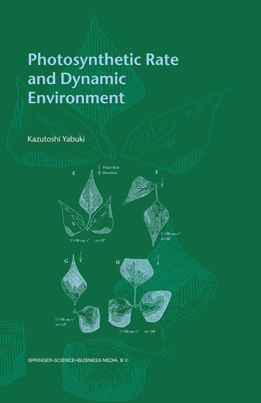 Photosynthetic Rate and Dynamic Environment