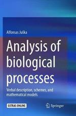 Analysis of biological processes: Verbal description, schemes, and mathematical models