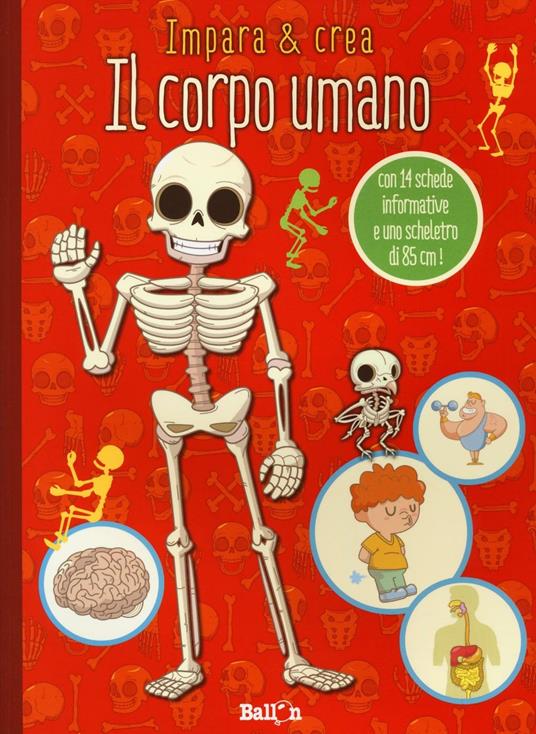 Il corpo umano. Impara & crea. Ediz. illustrata - copertina