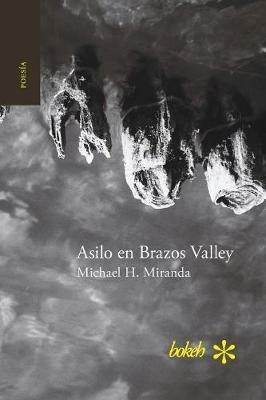 Asilo en Brazos Valley - Michael H Miranda - cover