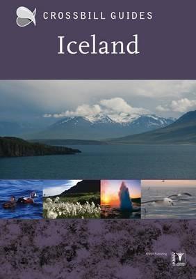 Iceland - Andy Jones - cover