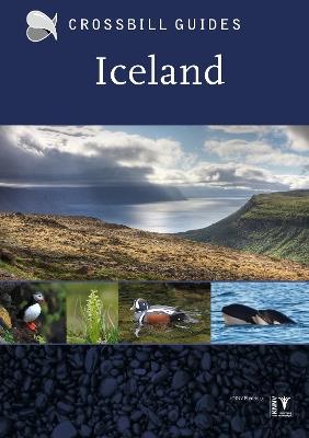 Iceland - Andy Jones - cover