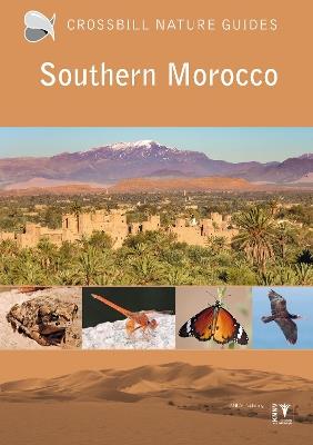 Southern Morocco - Martin Pitt - cover