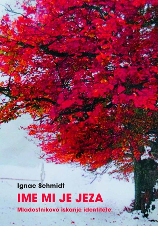 Ime mi je jeza - Ignac Schmidt - ebook