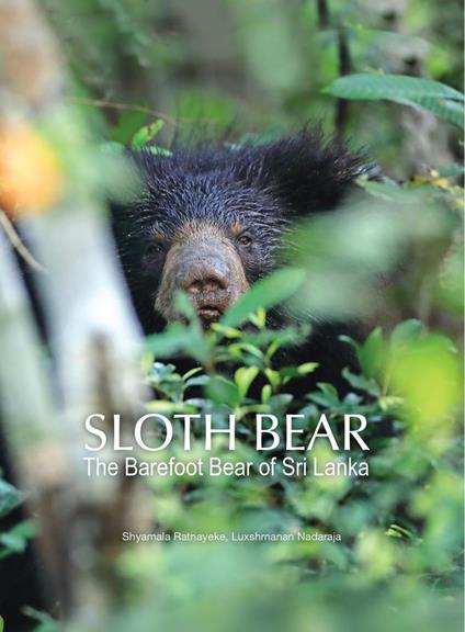 Sloth Bear: The Barefoot Bear of Sri Lanka