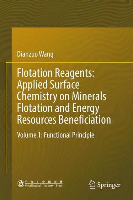 Flotation Reagents: Applied Surface Chemistry on Minerals Flotation and Energy Resources Beneficiation