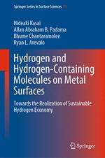 Hydrogen and Hydrogen-Containing Molecules on Metal Surfaces