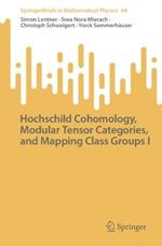 Hochschild Cohomology, Modular Tensor Categories, and Mapping Class Groups I