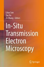 In-Situ Transmission Electron Microscopy