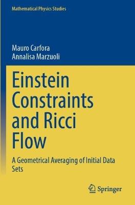 Einstein Constraints and Ricci Flow: A Geometrical Averaging of Initial Data Sets - Mauro Carfora,Annalisa Marzuoli - cover