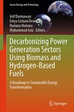 Decarbonizing Power Generation Sectors Using Biomass and Hydrogen-Based Fuels