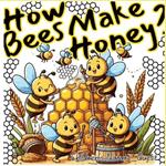 How Bees Make Honey?: A Bee's Natural Science of Honey in Children's Picture Books