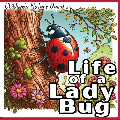 Life of a Lady Bug: The Survival of a Lady Bug illustrated in in children's picture books of Nature - M Borhan - cover