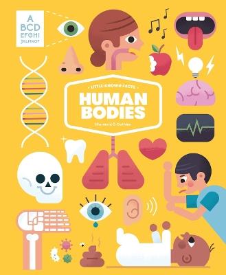 Little-known Facts: The Human Body - Diarmuid O Cathain - cover