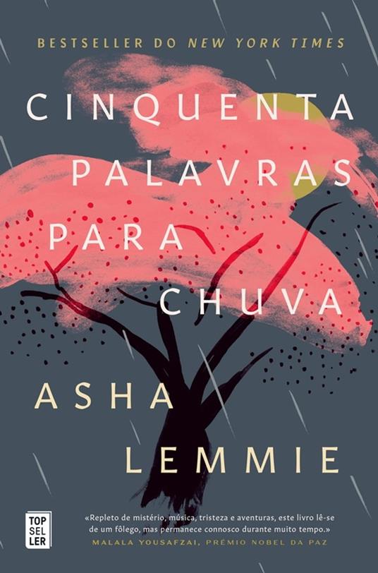 Cinquenta Palavras para Chuva - Asha Lemmie - ebook