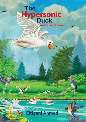 The Hypersonic Duck and Other Stories - Eltigani Ahmed - cover