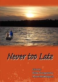 Never Too Late - cover