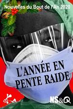 L'Année en pente raide