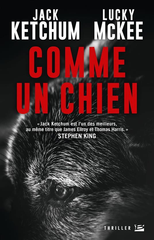 Comme un chien