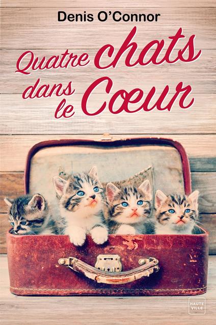 Quatre chats dans le coeur