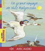 Le grand voyage de Nils Holgersson