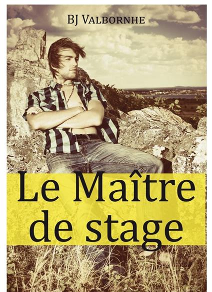 Le Maître de stage