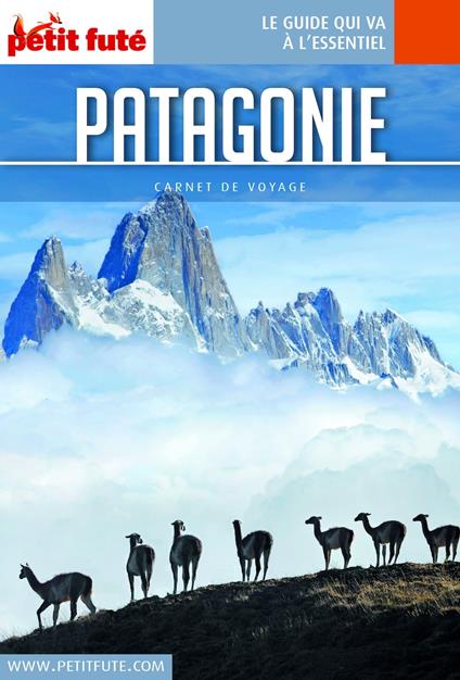 PATAGONIE 2018 Carnet Petit Futé