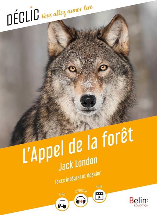 L'Appel de la forêt