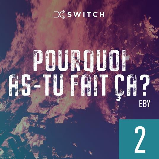 Pourquoi as-tu fait ça 2