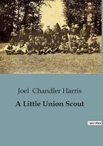 A Little Union Scout