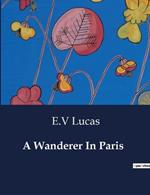 A Wanderer In Paris