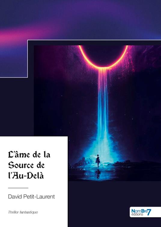 L'âme de la Source de l'Au-Delà - David Petit-Laurent - ebook