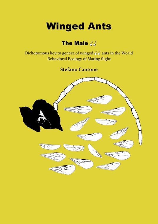 Winged Ants. The Male. Dichotomous key to genera of winged male ants in the world. Behavioral ecology of mating flight - Stefano Cantone - copertina