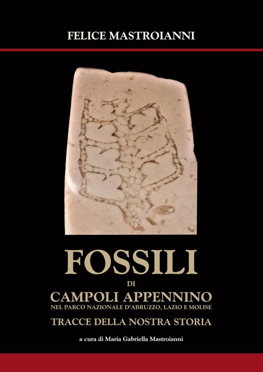 Fossili di Campoli Appennino. Nel parco Nazionale Abruzzo, Lazio e Molise tracce della nostra storia - Felice Mastroianni - copertina