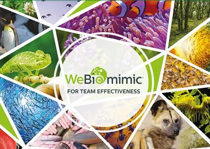 WeBiomimic for team effectiveness. Ediz. italiana e inglese. Con gadget - Silvia Mirandola - copertina