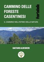 Cammino delle foreste Casentinesi. Il cammino nell'intimo della natura