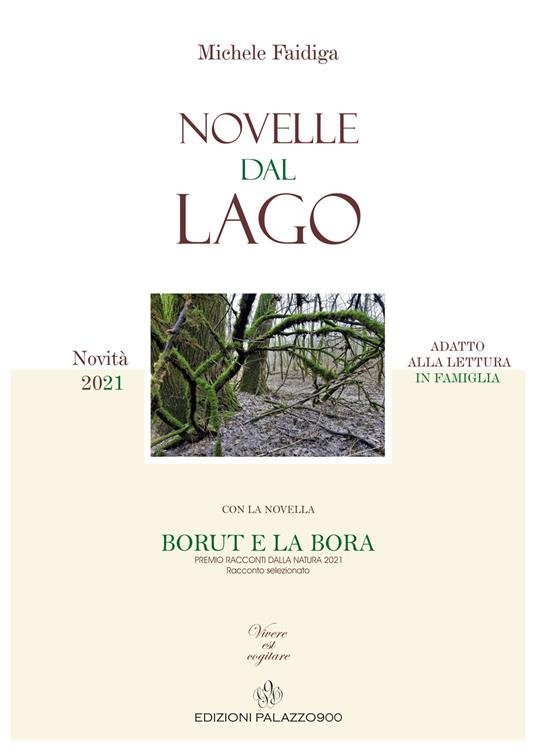 Novelle dal lago - Michele Faidiga - copertina