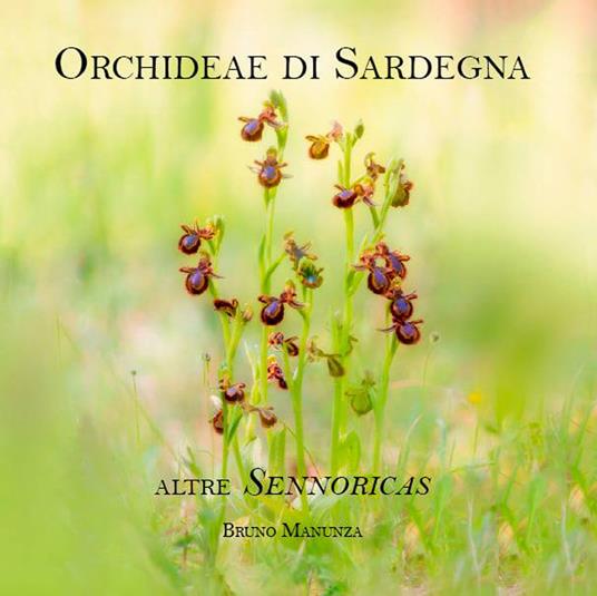 Orchideae di Sardegna. Altre Sennoricas - Bruno Manunza - copertina
