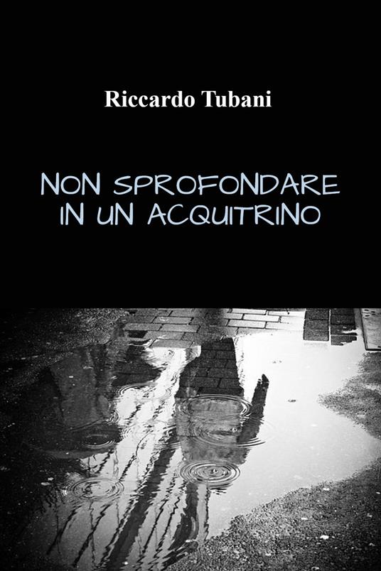 Non sprofondare in un acquitrino - Riccardo Tubani - copertina