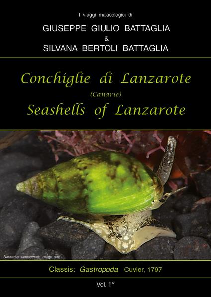 Conchiglie di Lanzarote-Seashells of Lanzarote. Ediz. bilingue. Vol. 1 - Giuseppe Giulio Battaglia,Silvana Bertoli Battaglia - copertina