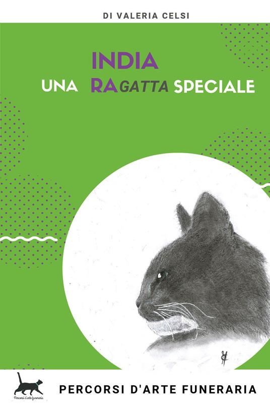 India una raGatta speciale - Valeria Celsi - copertina