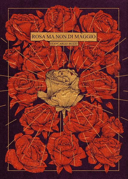 Rosa ma non di maggio - Giancarlo Buzzi - copertina