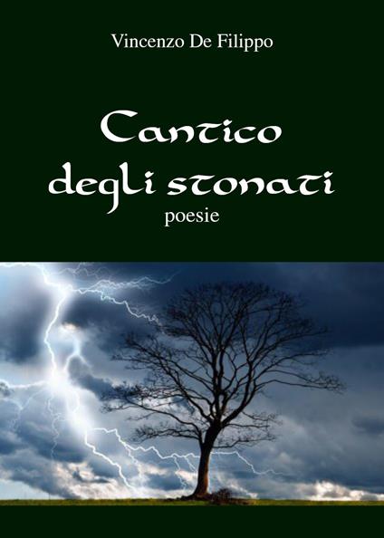 Cantico degli stonati - Vincenzo De Filippo - copertina