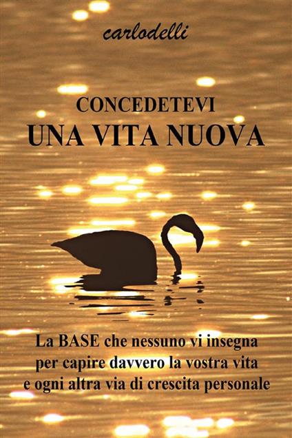 Concedetevi una vita nuova - Carlo Delli - ebook