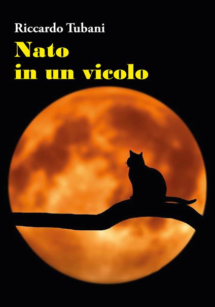 Nato in un vicolo - Riccardo Tubani - copertina