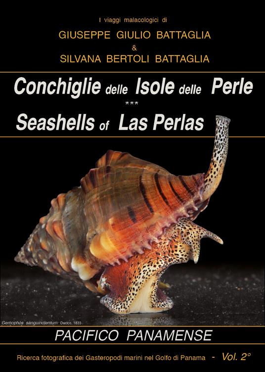 Conchiglie delle Isole delle Perle-Seashells of Las Perlas - Giuseppe Giulio Battaglia,Silvana Bertoli Battaglia - copertina